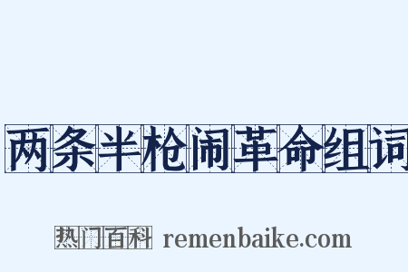 两条半枪闹革命组词是什么意思的图片